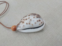 Minimalist Jewelry Cowrie Necklace Leather Cord Unisex