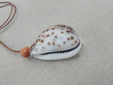 Minimalist Jewelry Cowrie Necklace Leather Cord Unisex